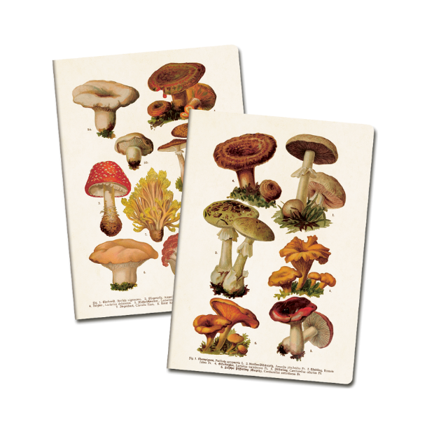 Notesbog 