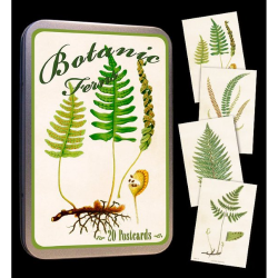 Kort (20 stk) i tindse