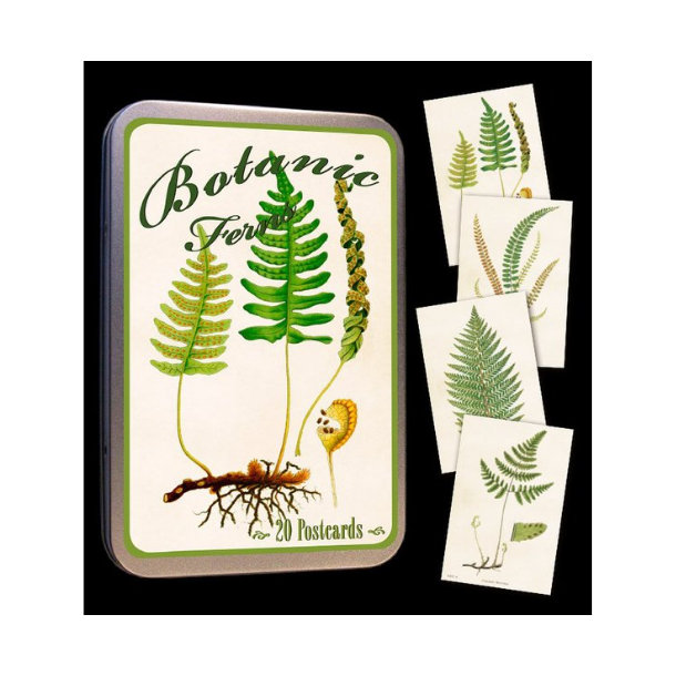 Kort (20 stk) i tindse