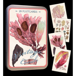 Kort (20 stk) i tindse