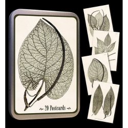 Kort (20 stk) i tindse