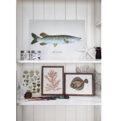 Kort (20 stk) i tindse