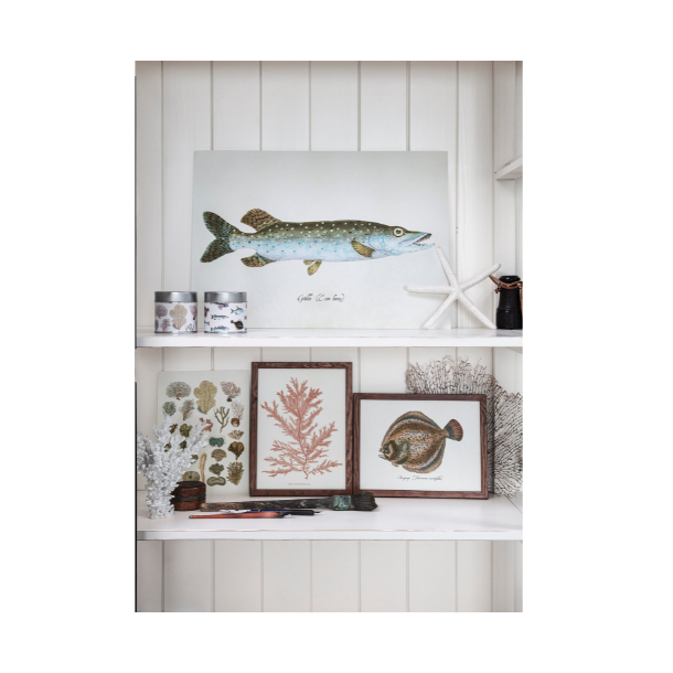 Kort (20 stk) i tindse