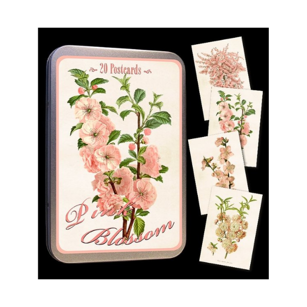 Kort (20 stk) i tindse