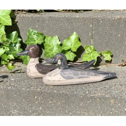 And i drivtmmer, brunlig