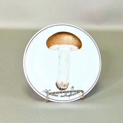 Bing &amp; Grndahl svampe platter 