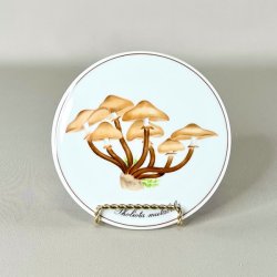 Bing &amp; Grndahl svampe platter 