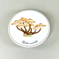 Bing &amp; Grndahl svampe platter 