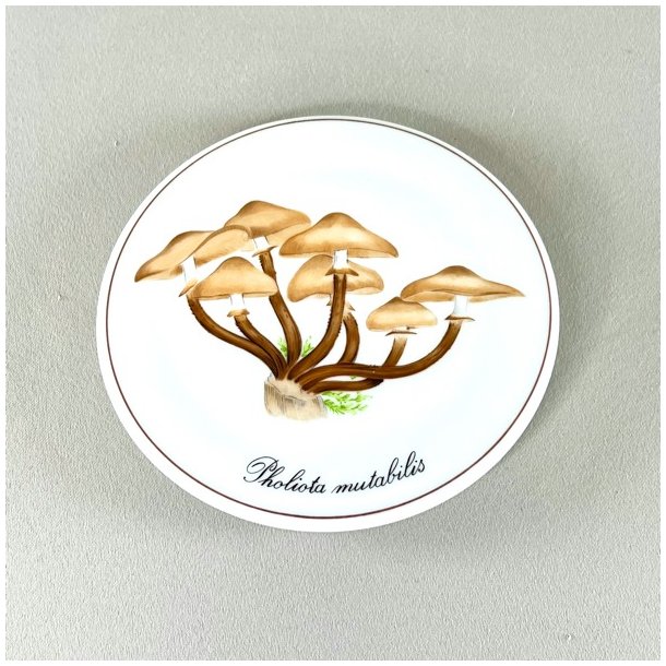 Bing &amp; Grndahl svampe platter 