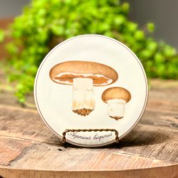 Bing &amp; Grndahl svampe platter 