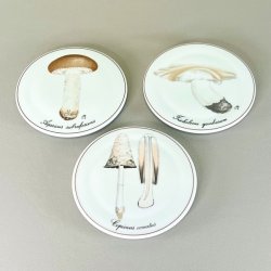 Bing &amp; Grndahl svampe platter 