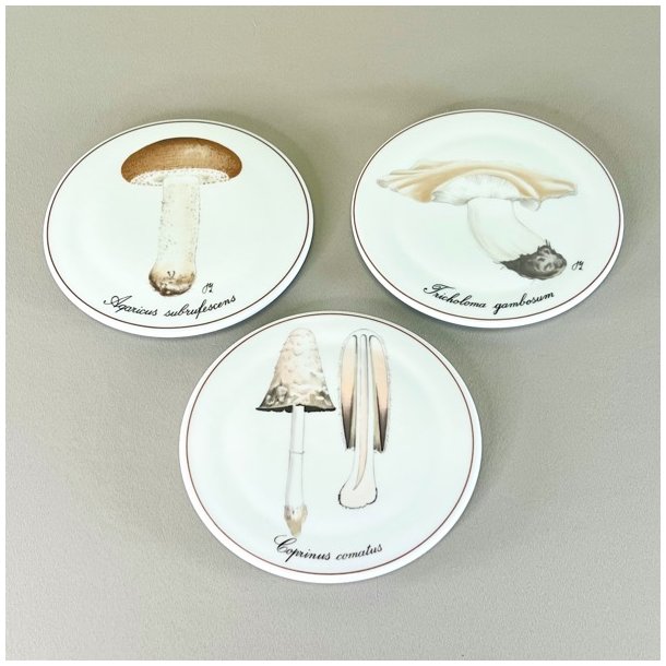 Bing &amp; Grndahl svampe platter 