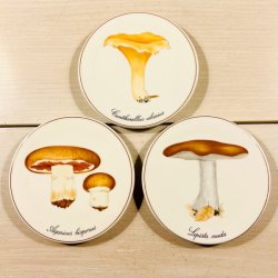 Bing &amp; Grndahl svampe platter 