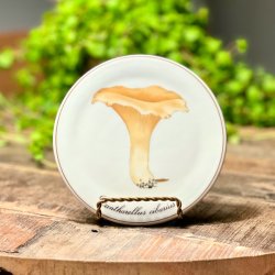 Bing &amp; Grndahl svampe platter 