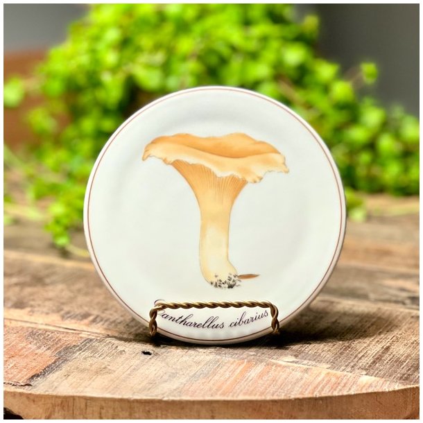 Bing &amp; Grndahl svampe platter 