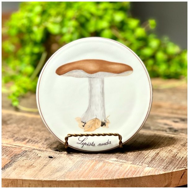 Bing &amp; Grndahl svampe platter 