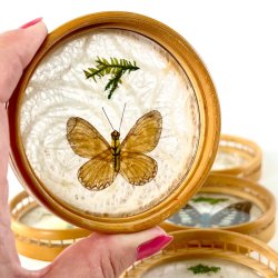 Coasters - glasbrikker m/sommerfugle (s�t a 6 stk)