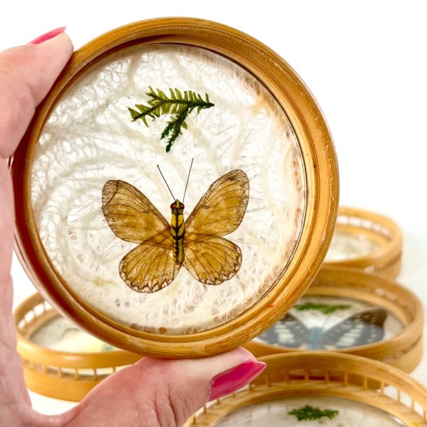 Coasters - glasbrikker m/sommerfugle (s�t a 6 stk)