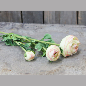 Fleur ranunkel - melon