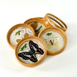 Coasters - glasbrikker m/sommerfugle (s�t a 6 stk)