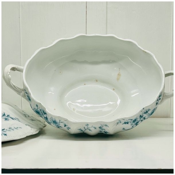 Terrin - stor, med lg fra Burgess &amp; Leigh