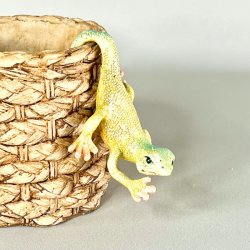 Firben til pottekant 