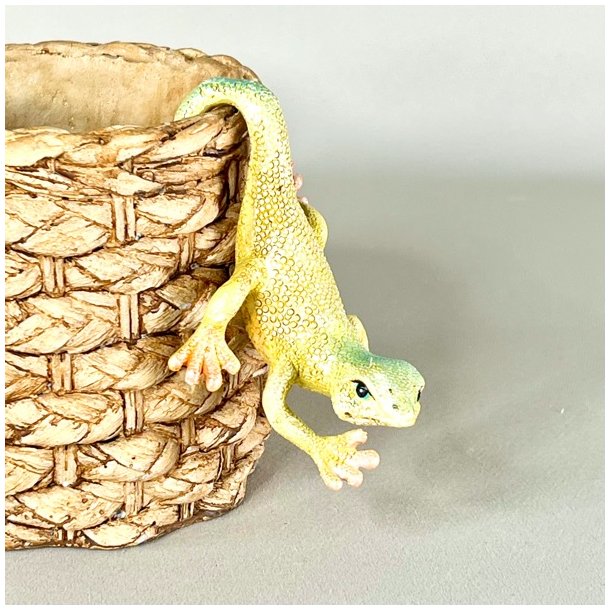 Firben til pottekant 