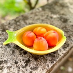 Lille fiskeskl - Jean-Pierre Tallec