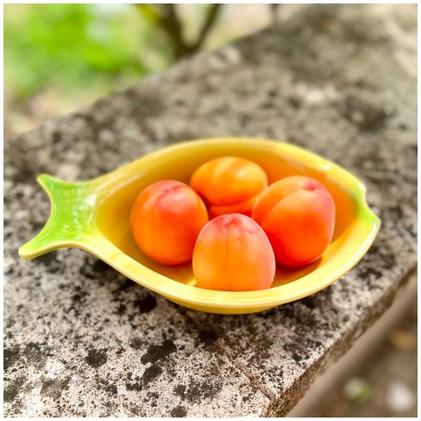 Lille fiskeskl - Jean-Pierre Tallec