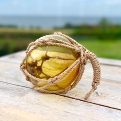 Flydelod 12,5 - gylden