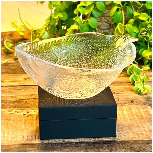 Fransk fiskeskl i klart glas