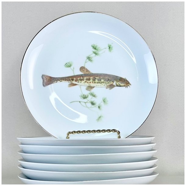 Fisketallerken - guldkant og lysegrn tang