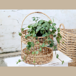 Opsats i flet med 2 kurve 