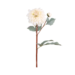 Fleur dahlia - creme