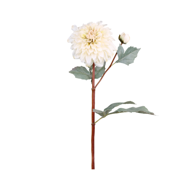 Fleur dahlia - creme