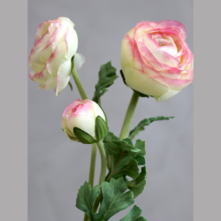 Fleur ranunkel - melon