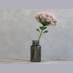 Fleur skrmblomst - pudder