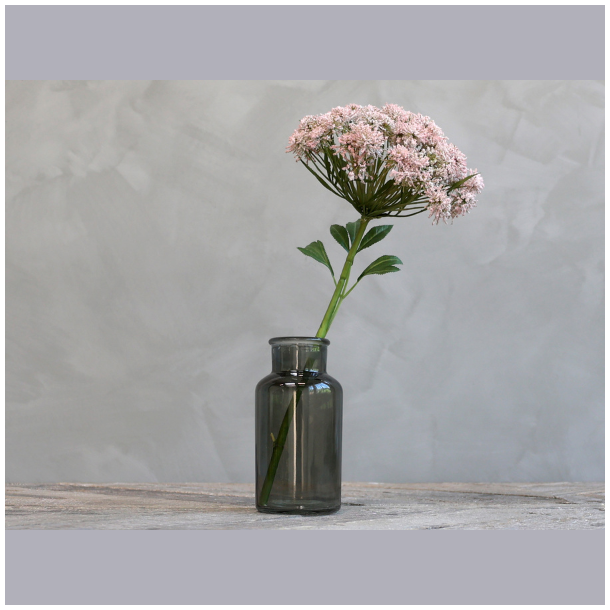 Fleur skrmblomst - pudder