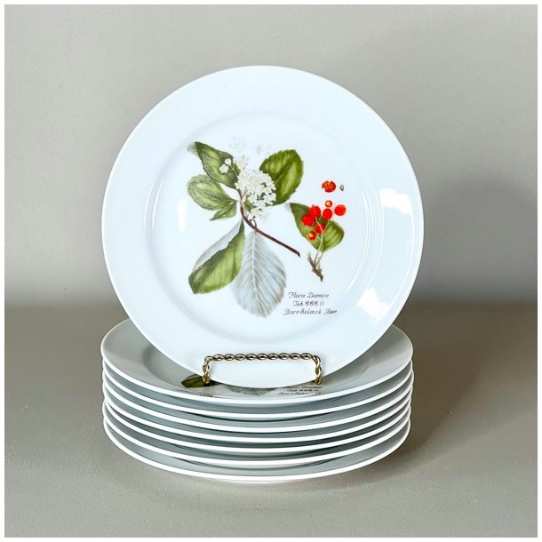 Platte - Flora Danica