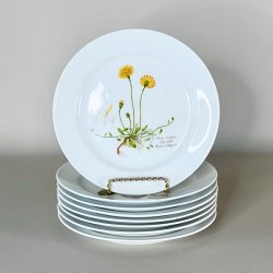 Platte - Flora Danica