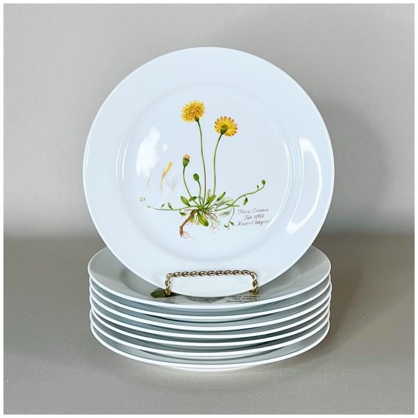 Platte - Flora Danica