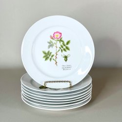 Platte - Flora Danica