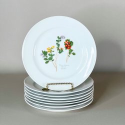 Platte - Flora Danica