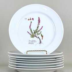 Platte - Flora Danica