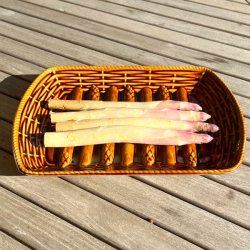 Aspargesfad - fransk, brunt