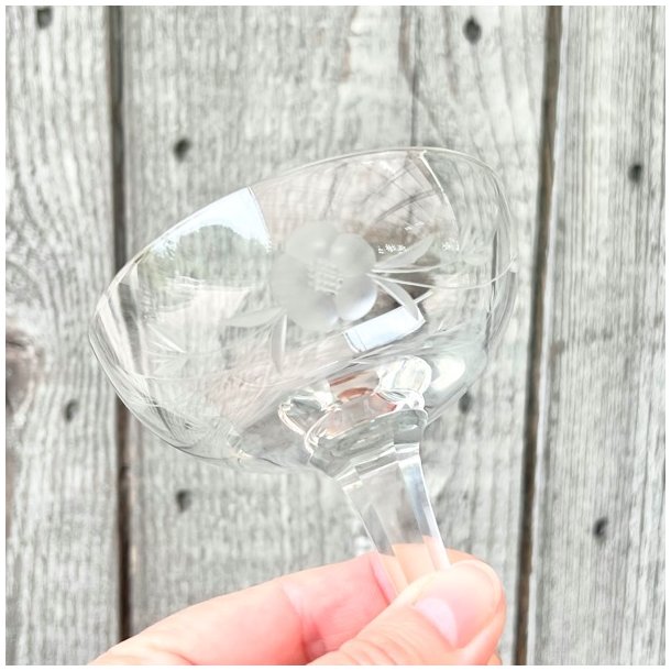 Champagneskle (6 stk samlet) - vintage fransk, ciceleringer 