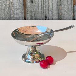 Isskl m/ske - Guy Degrenne 