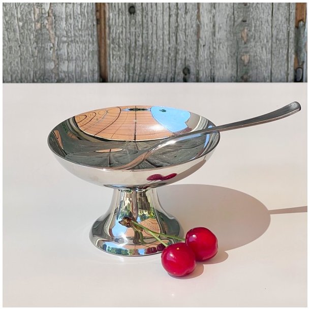 Isskl m/ske - Guy Degrenne 