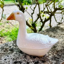 Fransk patform - Michel Caugant, hvid gs