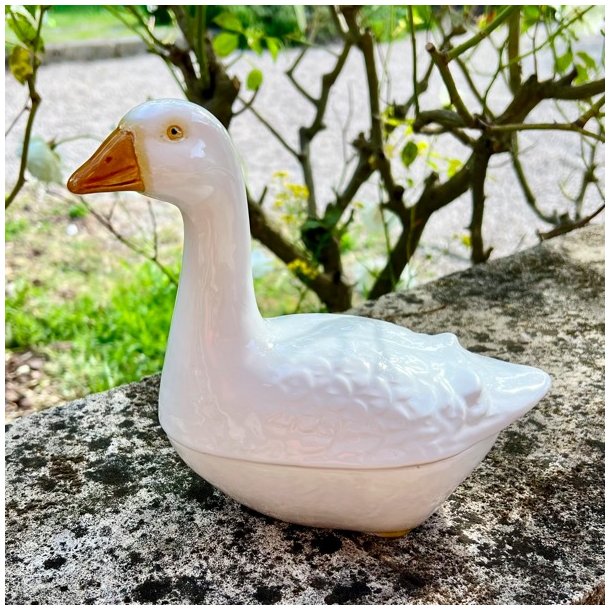 Fransk patform - Michel Caugant, hvid gs